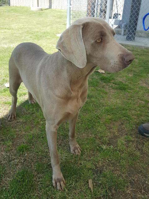 Missy standing